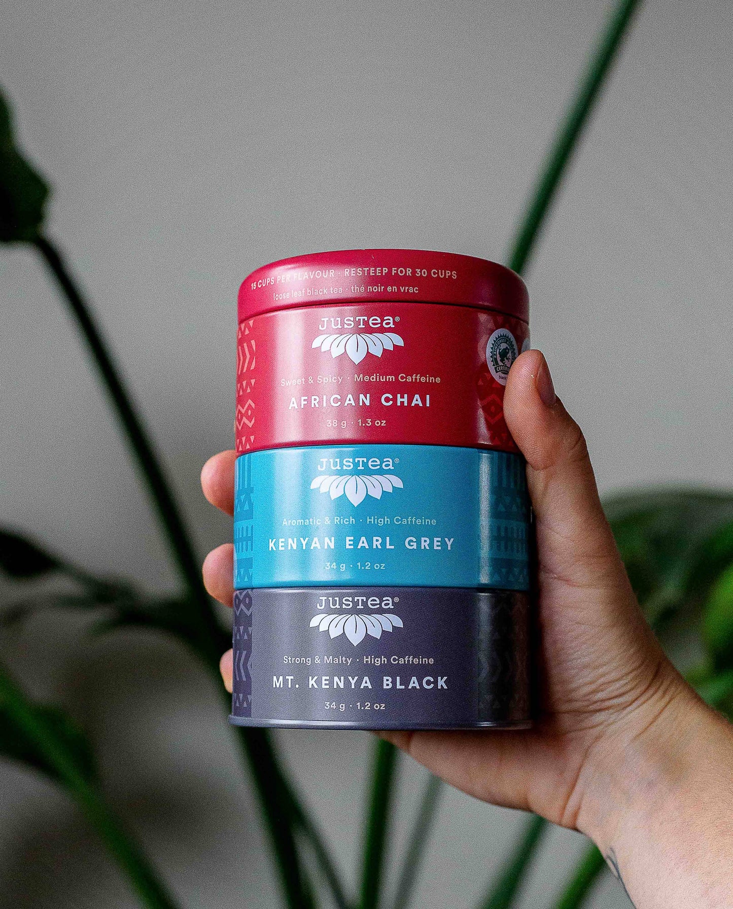 Black Tea Trio Tin & Spoon - Organic