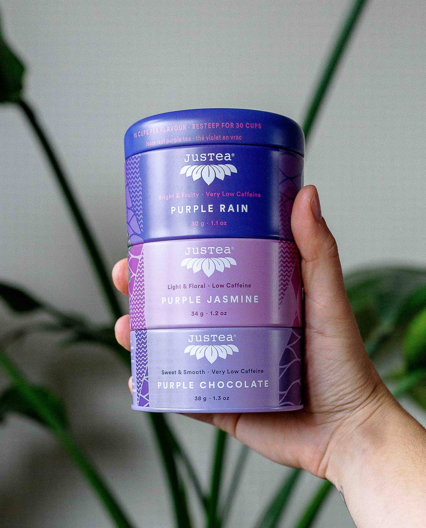 Purple Tea Trio Tin & Spoon - Organic