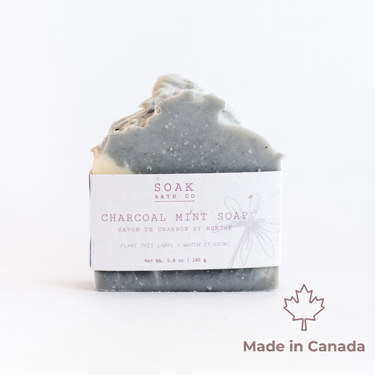 Charcoal Mint Soap Bar